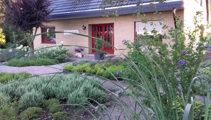 Afbeelding van Tuinonderhoud René van der Veen